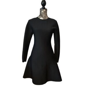 COS Women's XS Black Designer Long Sleeve Mini Dress With Fitted Silhouette